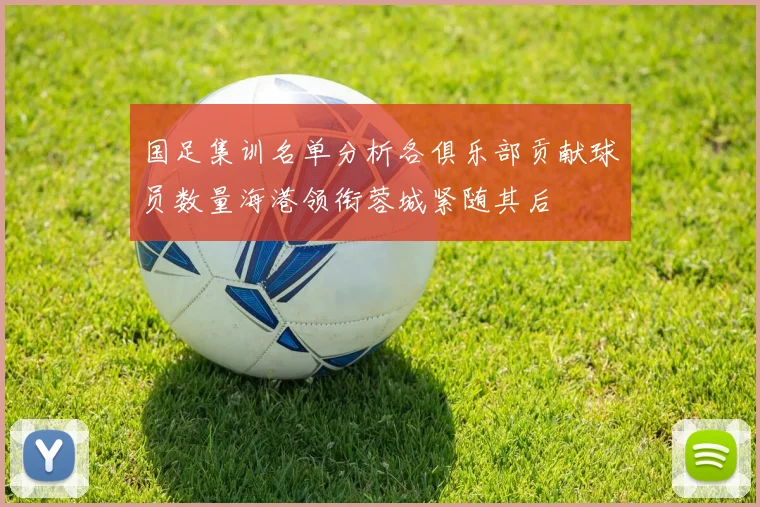 国足集训名单分析各俱乐部贡献球员数量海港领衔蓉城紧随其后