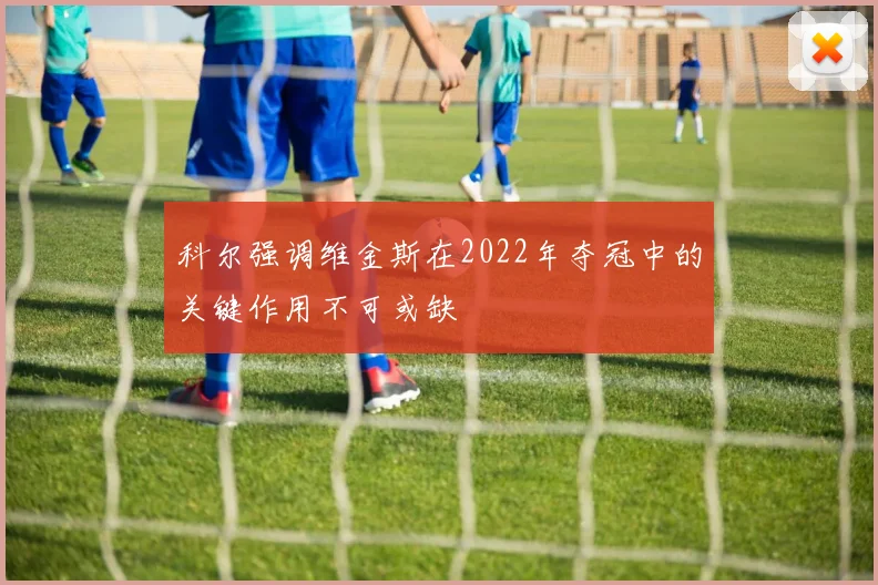 科尔强调维金斯在2022年夺冠中的关键作用不可或缺